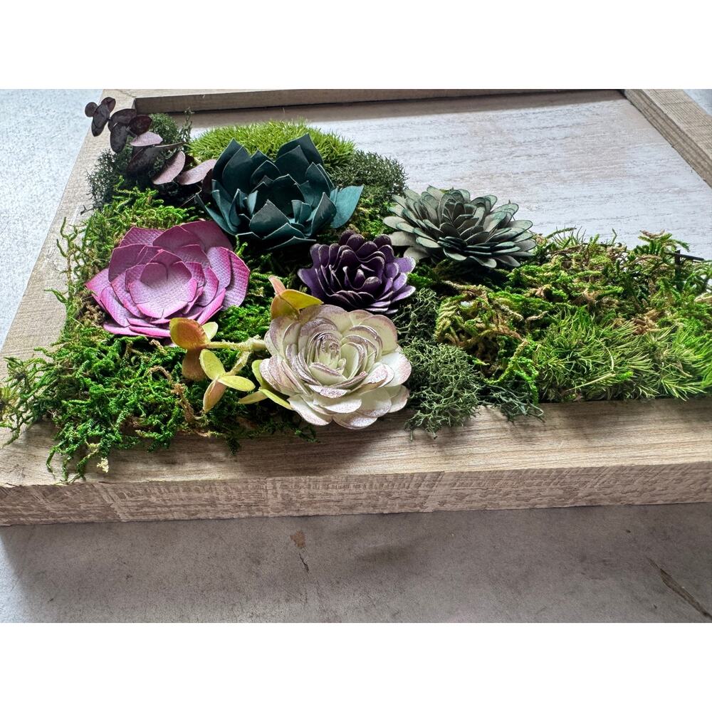 Handmade 8x10 Preserved Moss Wall Art w/ Paper Succulents Rustic Botanical Decor - Picture 7 of 12